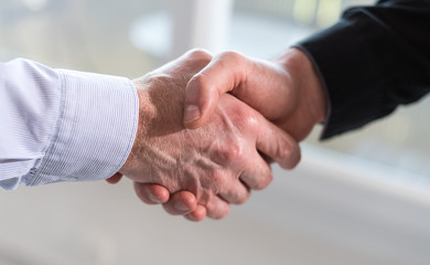 Two men shaking hands in office