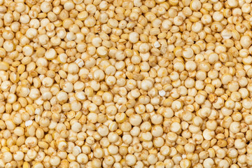 Vegetarian Quinoa Background Closeup. Macro. Selective focus.
