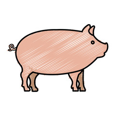 pig animal farm isolated icon vector illustration design