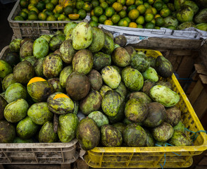local sliced manggo in sell store photo taken in bogor jakarta indonesia