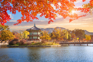 Fototapeta premium Liście klonu z pawilonu starego tradycyjnego w pałacu Gyeongbokgung, Seul, Korea Południowa.