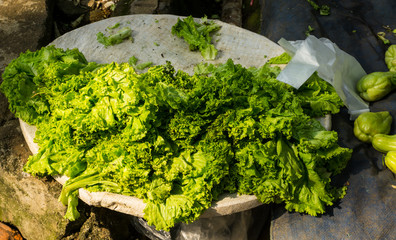 Pile of lettuce on top of table covered with white tarpaulin photo taken in Bogor traditional market