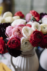 Beautiful bouquet of colorful Ranunculus: red, white, pink, black, close up view