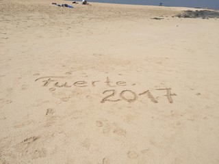 Fuerte 2017