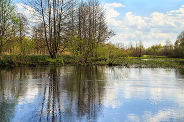 Obraz premium water landscape