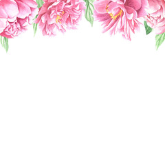 Watercolor peonies background, hand drawn flowers with green leaves on white backdrop. Floral design.