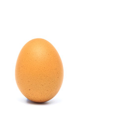 Single organic chicken egg on white background