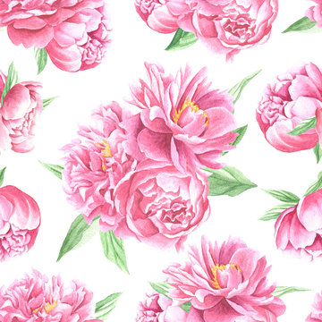 Watercolor peonies bouquet seamless pattern, hand drawn flowers with green leaves white  repeating background. Floral art design.