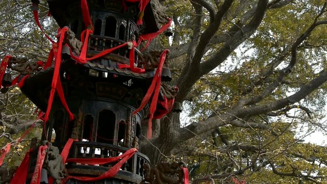 Incense burner and ginkgo tree in wind,monuments,antiques,culture.