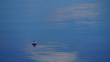 Fototapeta premium Fishing Bobber in lake