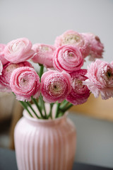 Beautiful tender corrugated pink ranunculus in a pink vase on the table, florist shop