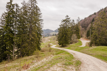 Reigoldswil, Wasserfallen, Bergwanderweg, Waldweg, Wald, Jura, Jurawanderung, Passwang, Grauboden,...