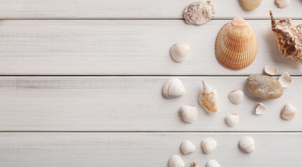 Fototapeta na wymiar Seashells on white wood, sea vacation background