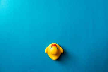 Yellow rubber ducks organized on blue background.