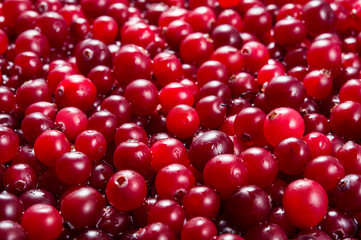 Cranberry. Berries macro. Food background.