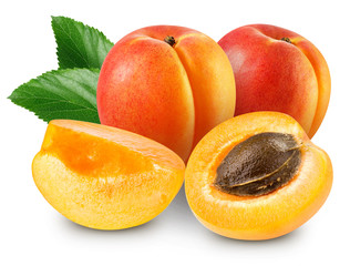 apricot fruits isolated