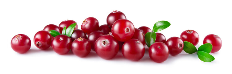 Cranberry with leaves isolated on white background. Fresh raw berries. Full depth of field.