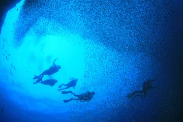 Crédence de cuisine en verre imprimé Plonger Scuba diving