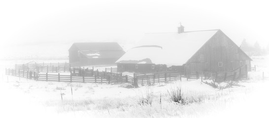 Barnyard