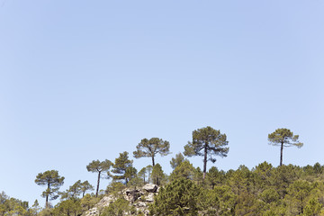 Landscape in Cañadas de Haches de Arriba.