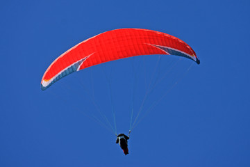 Paraglider