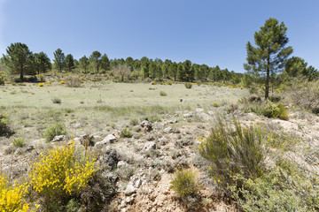 Landscape in Cañadas de Haches de Arriba.