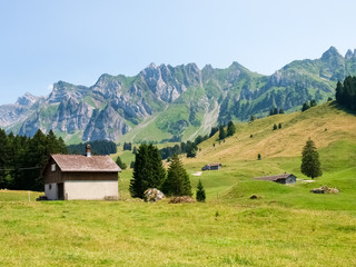 Fototapeta na wymiar Swiss landscape, mountains and green meadows