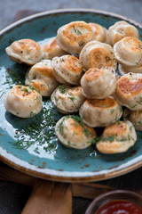 Close-up of fried russian meat dumplings pelmeni, selective focus, vertical shot