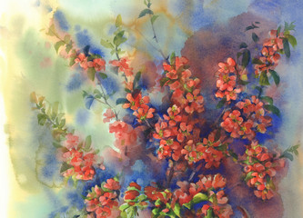 blooming quince still-life watercolor