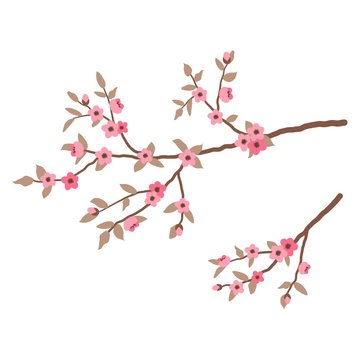 Branch of a tree with pink flowers and leaves isolated on a white background. Vector illustration.