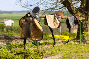 Leather cowboy saddles hanging on the railing