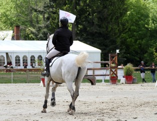 concours hippique, saut d'obstacles