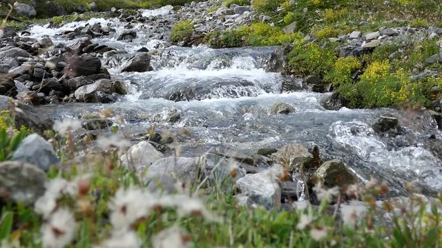 bergbach, alpen, lenk, schweiz 