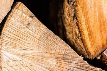 Chopped wood stacked in rows close up detail