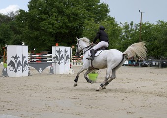 concours hippique, saut d'obstacles
