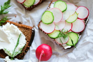 Healthy vegetarian sandwiches with radish and cucumber slice