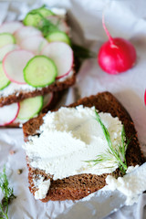 Healthy vegetarian sandwiches with radish and cucumber slice