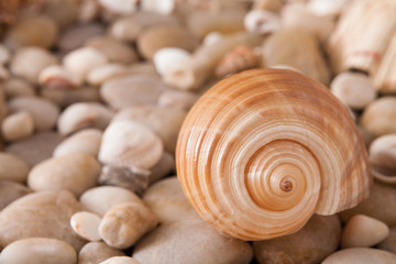 Sea pebbles background, natural seashore stones