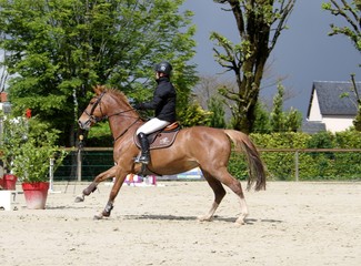 concours hippique,saut d'obstacles