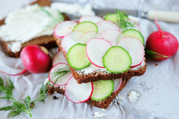 Healthy vegetarian sandwiches with radish and cucumber slice