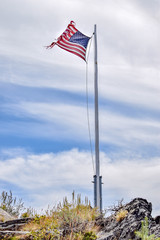 Tattered Flag