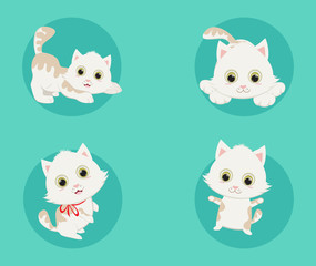 funny cartoon kitten in various poses