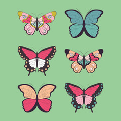 Collection of six hand drawn colorful butterflies