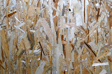 Oriented strand board (OSB) texture background