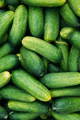 Cucumbers on Green Market Close Up
