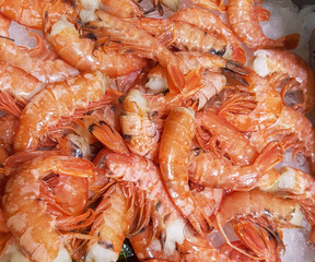 Fresh shrimps on ice