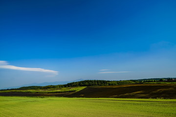 Fototapeta premium 産山村