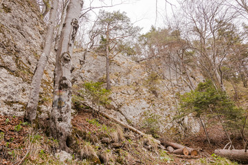 Reigoldswil, Wasserfallen, Wanderweg, Felsen, felsig, Waldweg, Wald, Jura, Jurawanderung, Passwang,...