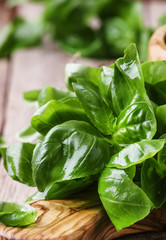 Green basil on a cutting board, rustic style, selective focus