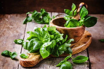 Green basil on a cutting board, rustic style, selective focus